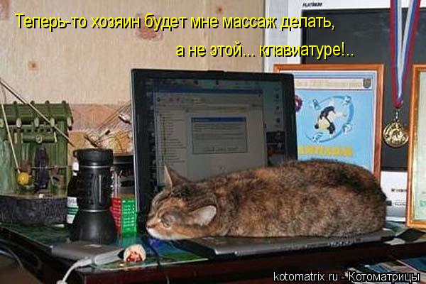 Теперь-то хозяин будет мне массаж делать, а не этой... клавиатуре!..... Котоматрица: Теперь-то хозяин будет мне массаж делать, а не этой... клавиатуре!..
