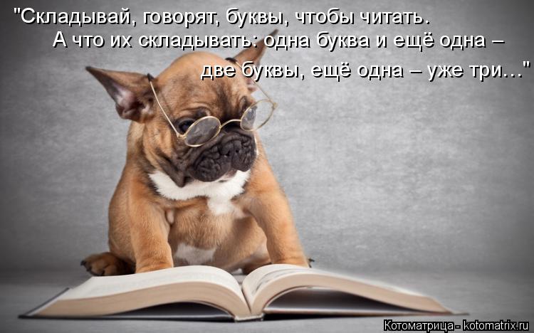 А что их складывать: одна буква и ещё одна – две буквы, ещё одна – уже три…" "Складывай, говорят, бук... Котоматрица: А что их складывать: одна буква и ещё одна – две буквы, ещё одна – уже три…" "Складывай, говорят, буквы, чтобы читать.