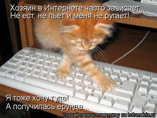 Хозяин в Интернете часто зависает... Не ест, не пьёт и меня не ругает! Я тоже хочу туда! А получилась... Котоматрица: Хозяин в Интернете часто зависает... Не ест, не пьёт и меня не ругает! Я тоже хочу туда! А получилась ерунда...