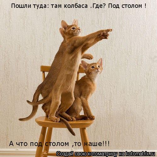 Пошли туда: там колбаса .Где? Под столом ! А что под столом ,то наше!!!... Котоматрица: Пошли туда: там колбаса .Где? Под столом ! А что под столом ,то наше!!!