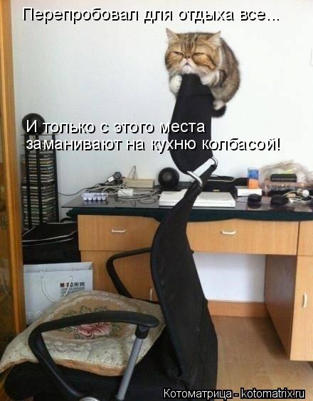 Перепробовал для отдыха все... И только с этого места заманивают на кухню колбасой!... Котоматрица: Перепробовал для отдыха все... И только с этого места заманивают на кухню колбасой!