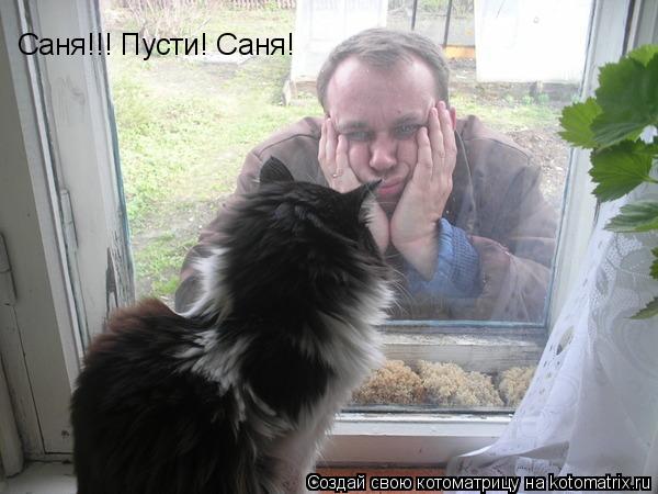 Саня!!! Пусти! Саня!... Котоматрица: Саня!!! Пусти! Саня!