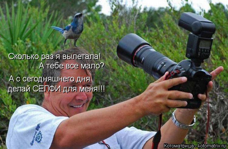 Сколько раз я вылетала! А тебе все мало? А с сегодняшнего дня делай СЕЛФИ для меня!!!... Котоматрица: Сколько раз я вылетала! А тебе все мало? А с сегодняшнего дня делай СЕЛФИ для меня!!!