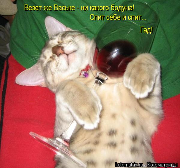 Везет-же Ваське - ни какого бодуна! Спит себе и спит... Гад!... Котоматрица: Везет-же Ваське - ни какого бодуна! Спит себе и спит... Гад!
