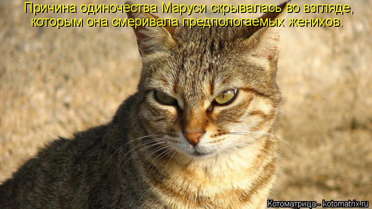 Причина одиночества Маруси скрывалась во взгляде, которым она смеривала предпологаемых женихов.... Котоматрица: Причина одиночества Маруси скрывалась во взгляде, которым она смеривала предпологаемых женихов.