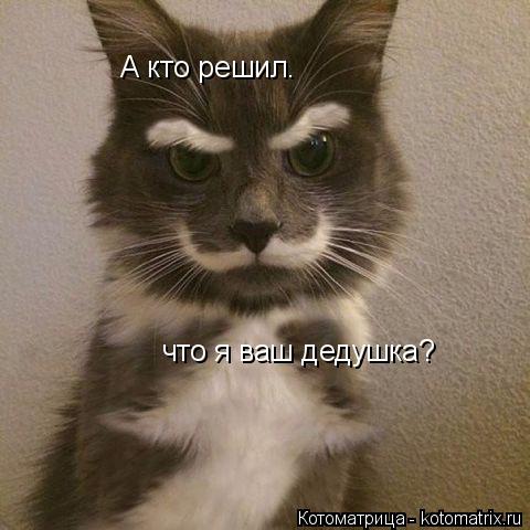 А кто решил. что я ваш дедушка? что я ваш дедушка?... Котоматрица: А кто решил. что я ваш дедушка? что я ваш дедушка?