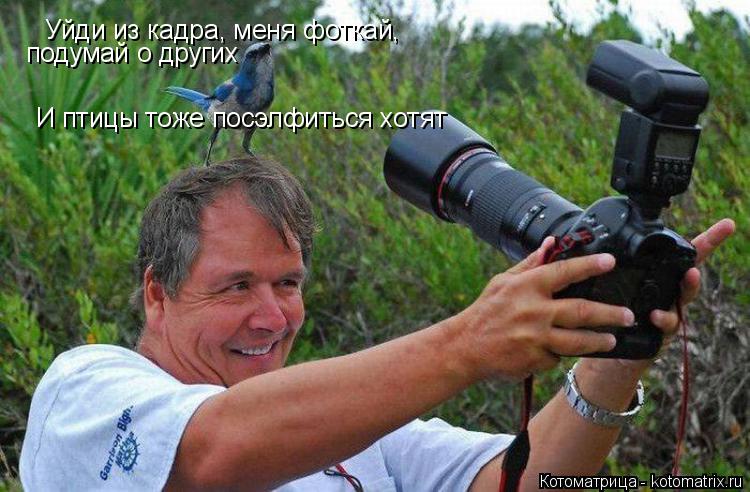 Уйди из кадра, меня фоткай, подумай о других И птицы тоже посэлфиться хотят... Котоматрица: Уйди из кадра, меня фоткай, подумай о других И птицы тоже посэлфиться хотят