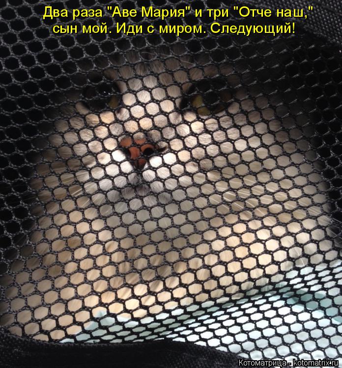 Два раза "Аве Мария" и три "Отче наш," сын мой. Иди с миром. Следующий!... Котоматрица: Два раза "Аве Мария" и три "Отче наш," сын мой. Иди с миром. Следующий!