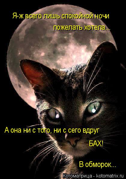 Я-ж всего лишь спокойной ночи пожелать хотела... А она ни с того, ни с сего вдруг БАХ! В обморок...... Котоматрица: Я-ж всего лишь спокойной ночи пожелать хотела... А она ни с того, ни с сего вдруг БАХ! В обморок...
