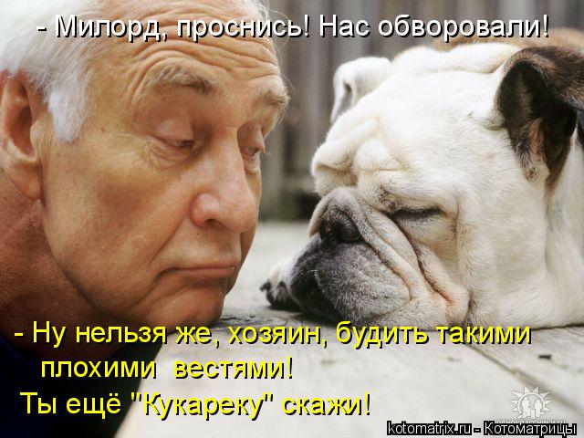 - Милорд, проснись! Нас обворовали! - Ну нельзя же, хозяин, будить такими плохими вестями! Ты ещё "К... Котоматрица: - Милорд, проснись! Нас обворовали! - Ну нельзя же, хозяин, будить такими плохими вестями! Ты ещё "Кукареку" скажи!