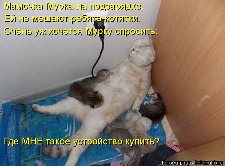 Мамочка Мурка на подзарядке, Ей не мешают ребята-котятки. Очень уж хочется Мурку спросить: Где МНЕ та... Котоматрица: Мамочка Мурка на подзарядке, Ей не мешают ребята-котятки. Очень уж хочется Мурку спросить: Где МНЕ такое устройство купить?