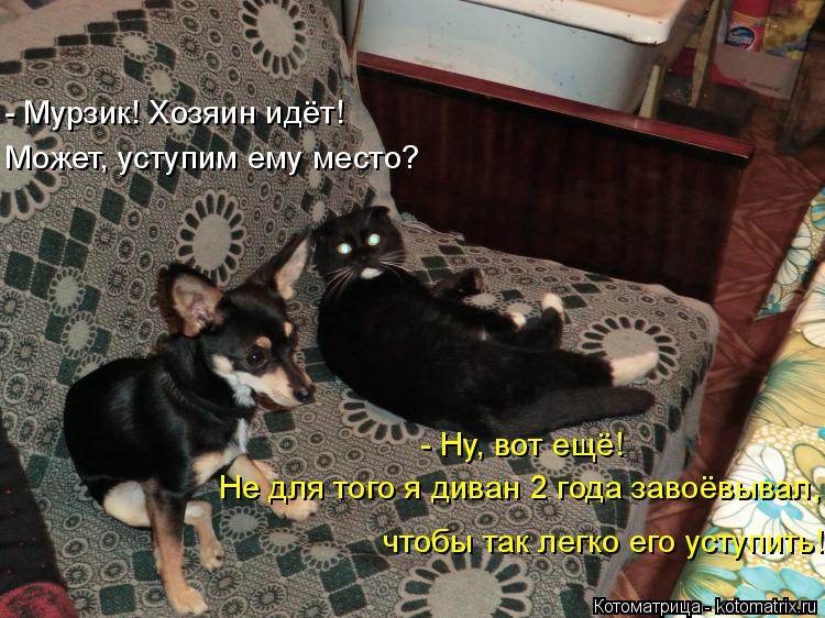 - Мурзик! Хозяин идёт! Может, уступим ему место? - Ну, вот ещё! Не для того я диван 2 года завоёвывал... Котоматрица: - Мурзик! Хозяин идёт! Может, уступим ему место? - Ну, вот ещё! Не для того я диван 2 года завоёвывал, чтобы так легко его уступить!