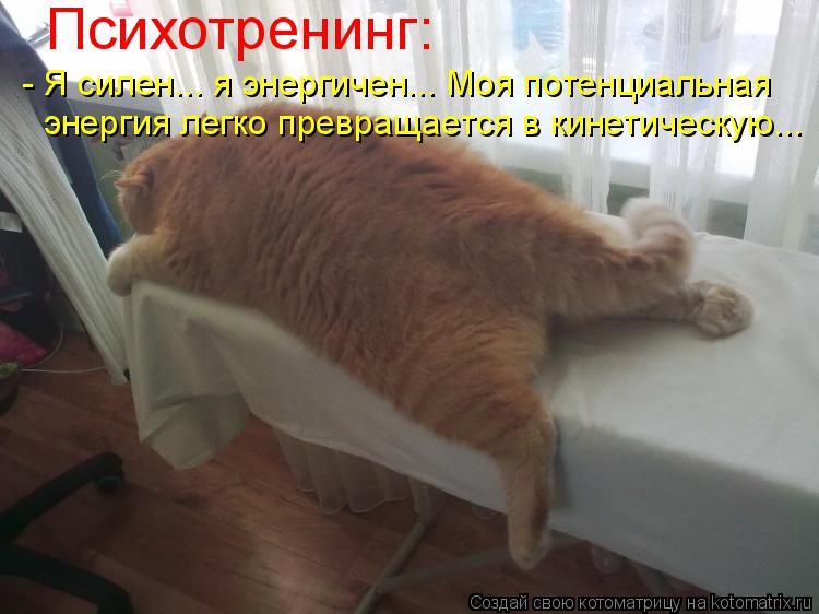 Психотренинг: - Я силен... я энергичен... Моя потенциальная энергия легко превращается в кинетическую... Котоматрица: Психотренинг: - Я силен... я энергичен... Моя потенциальная энергия легко превращается в кинетическую...