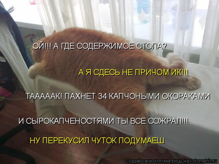 ОЙ!!! А ГДЕ СОДЕРЖИМОЕ СТОЛА? А Я СДЕСЬ НЕ ПРИЧОМ ИК!!! ТАААААК! ПАХНЕТ 34 КАПЧОНЫМИ ОКОРАКАМИ И СЫР... Котоматрица: ОЙ!!! А ГДЕ СОДЕРЖИМОЕ СТОЛА? А Я СДЕСЬ НЕ ПРИЧОМ ИК!!! ТАААААК! ПАХНЕТ 34 КАПЧОНЫМИ ОКОРАКАМИ И СЫРОКАПЧЕНОСТЯМИ ТЫ ВСЕ СОЖРАЛ!!! НУ ПЕРЕКУСИЛ Ч