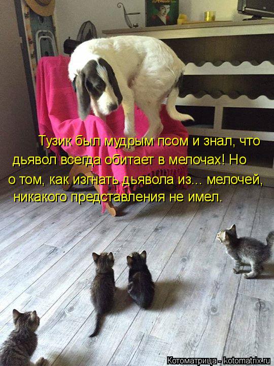 Тузик был мудрым псом и знал, что дьявол всегда обитает в мелочах! Но о том, как изгнать дьявола из..... Котоматрица: Тузик был мудрым псом и знал, что дьявол всегда обитает в мелочах! Но о том, как изгнать дьявола из... мелочей, никакого представления не имел.