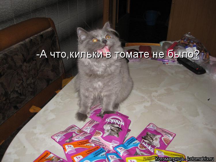-А что,кильки в томате не было?... Котоматрица: -А что,кильки в томате не было?