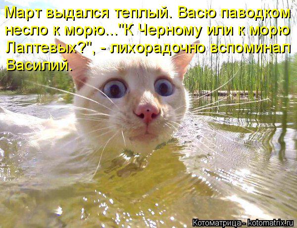Март выдался теплый. Васю паводком несло к морю..."К Черному или к морю Лаптевых?", - лихорадочно всп... Котоматрица: Март выдался теплый. Васю паводком несло к морю..."К Черному или к морю Лаптевых?", - лихорадочно вспоминал Василий.