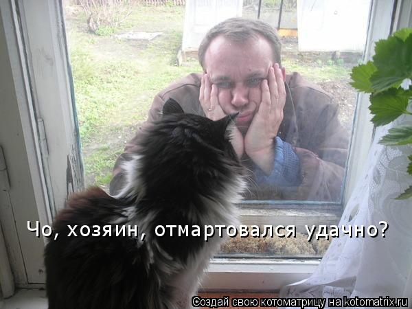 Чо, хозяин, отмартовался удачно?... Котоматрица: Чо, хозяин, отмартовался удачно?