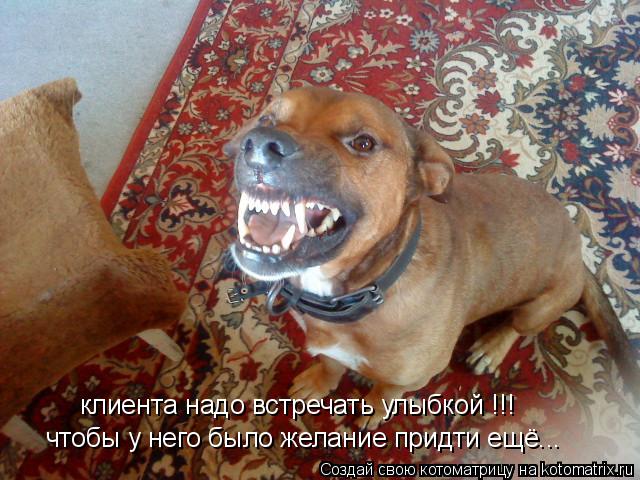 клиента надо встречать улыбкой !!! чтобы у него было желание придти ещё...... Котоматрица: клиента надо встречать улыбкой !!! чтобы у него было желание придти ещё...