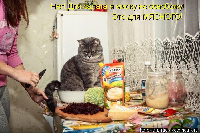 Нет! Для салата я миску не освобожу! Это для МЯСНОГО!... Котоматрица: Нет! Для салата я миску не освобожу! Это для МЯСНОГО!