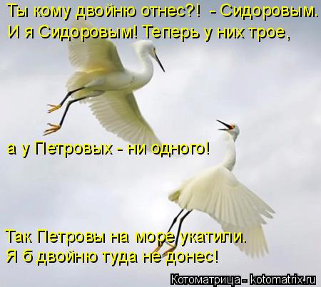 Ты кому двойню отнес?! - Сидоровым. И я Сидоровым! Теперь у них трое, а у Петровых - ни одного! Так ... Котоматрица: Ты кому двойню отнес?! - Сидоровым. И я Сидоровым! Теперь у них трое, а у Петровых - ни одного! Так Петровы на море укатили. Я б двойню туда не до