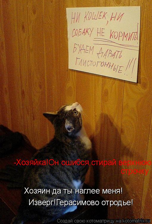 Котоматрица: Хозяин да ты наглее меня! Изверг!Герасимово отродье! -Хозяйка!Он ошибся,стирай верхнюю строчку! строчку