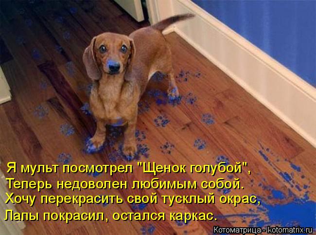 Я мульт посмотрел "Щенок голубой", Теперь недоволен любимым собой. Хочу перекрасить свой тусклый окра... Котоматрица: Я мульт посмотрел "Щенок голубой", Теперь недоволен любимым собой. Хочу перекрасить свой тусклый окрас, Лапы покрасил, остался каркас.