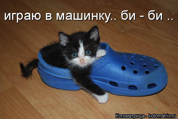 Котоматрица: играю в машинку.. би - би ..