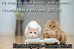 Из спора лучший выход - компромисс: Отсыпьте тех и этих нам, ДВОИХ... Котоматрица: Из спора лучший выход - компромисс: Отсыпьте тех и этих нам, ДВОИХ