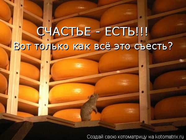 Котоматрица: СЧАСТЬЕ - ЕСТЬ!!! Вот только как всё это съесть?