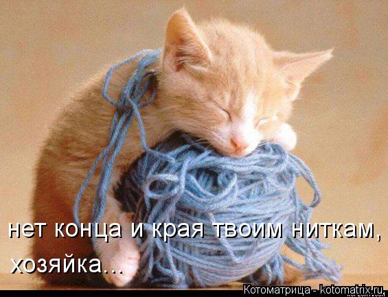 нет конца и края твоим ниткам, хозяйка...... Котоматрица: нет конца и края твоим ниткам, хозяйка...