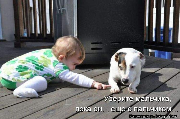 Уберите мальчика, пока он... еще с пальчиком...... Котоматрица: Уберите мальчика, пока он... еще с пальчиком...