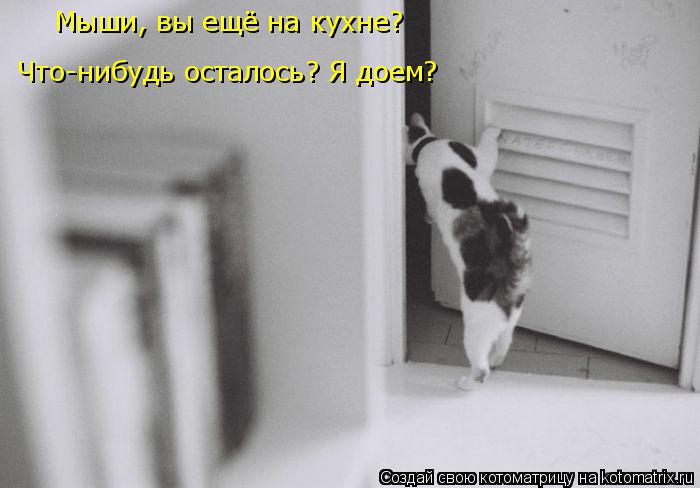 Мыши, вы ещё на кухне? Что-нибудь осталось? Я доем?... Котоматрица: Мыши, вы ещё на кухне? Что-нибудь осталось? Я доем?