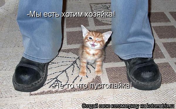 -Мы есть хотим хозяйка! -Не то что пустолайка!... Котоматрица: -Мы есть хотим хозяйка! -Не то что пустолайка!