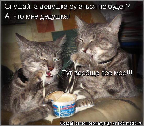 Слушай, а дедушка ругаться не будет? А, что мне дедушка! Тут вообще все мое!!!... Котоматрица: Слушай, а дедушка ругаться не будет? А, что мне дедушка! Тут вообще все мое!!!