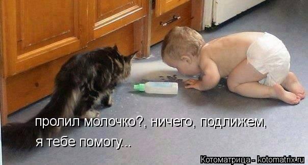 пролил молочко?, ничего, подлижем, я тебе помогу...... Котоматрица: пролил молочко?, ничего, подлижем, я тебе помогу...