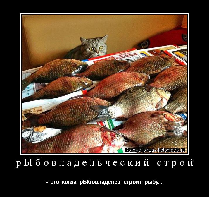 рЫбовладельческий строй - это когда рЫбовладелец строит рыбу...... Котоматрица: рЫбовладельческий строй - это когда рЫбовладелец строит рыбу...