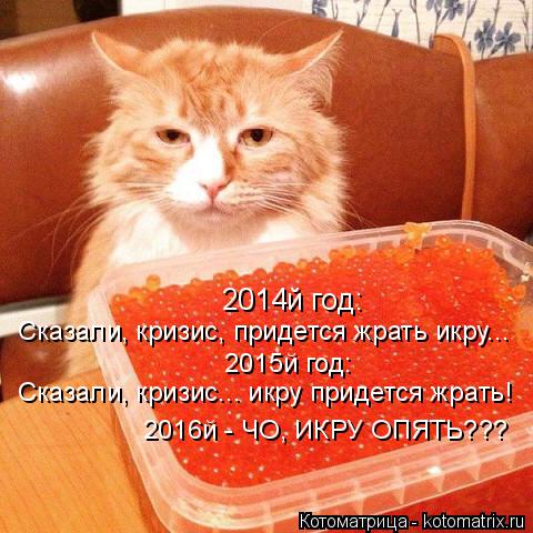 2014й год: Сказали, кризис, придется жрать икру... 2015й год: Сказали, кризис... икру придется жрать!... Котоматрица: 2014й год: Сказали, кризис, придется жрать икру... 2015й год: Сказали, кризис... икру придется жрать! 2016й - ЧО, ИКРУ ОПЯТЬ???