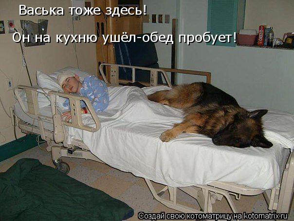 Васька тоже здесь! Он на кухню ушёл-обед пробует!... Котоматрица: Васька тоже здесь! Он на кухню ушёл-обед пробует!