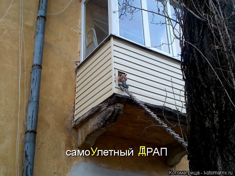 самоУлетный ТРАП У Д... Котоматрица: самоУлетный ТРАП У Д