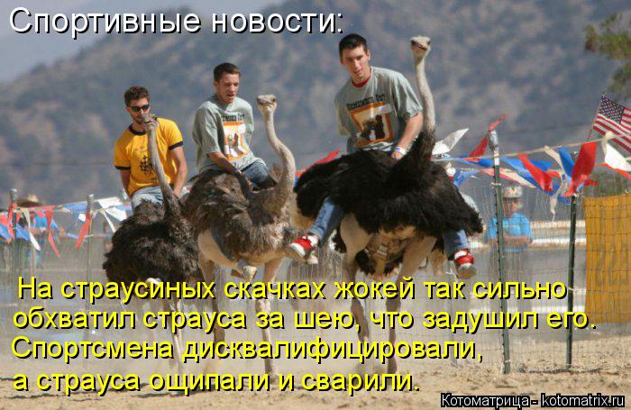 Спортивные новости: На страусиных скачках жокей так сильно обхватил страуса за шею, что задушил его... Котоматрица: Спортивные новости: На страусиных скачках жокей так сильно обхватил страуса за шею, что задушил его. Спортсмена дисквалифицировали, а ст