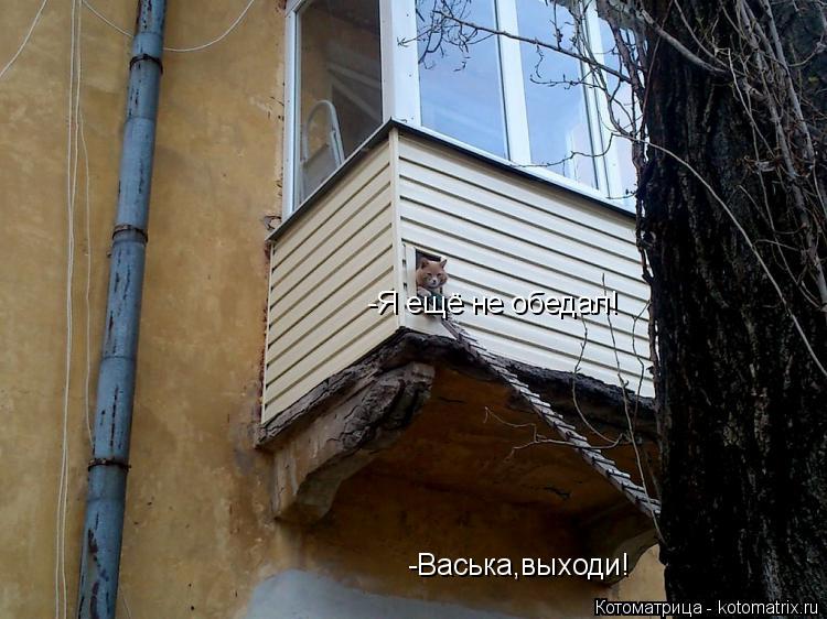 -Васька,выходи! -Я ещё не обедал!... Котоматрица: -Васька,выходи! -Я ещё не обедал!