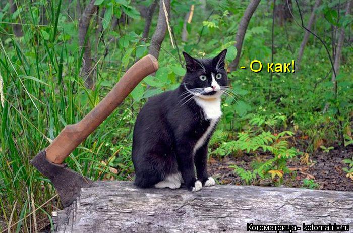 - О как!... Котоматрица: - О как!