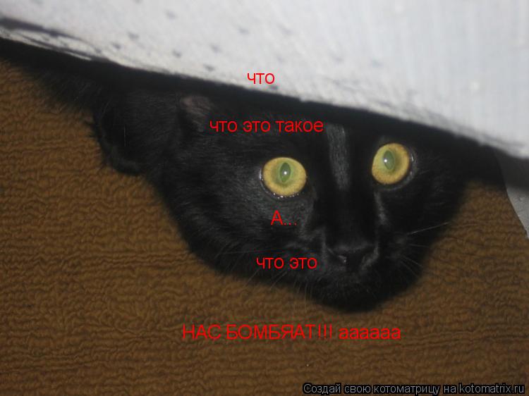 что что это такое А... что это НАС БОМБЯАТ!!! аааааа... Котоматрица: что что это такое А... что это НАС БОМБЯАТ!!! аааааа