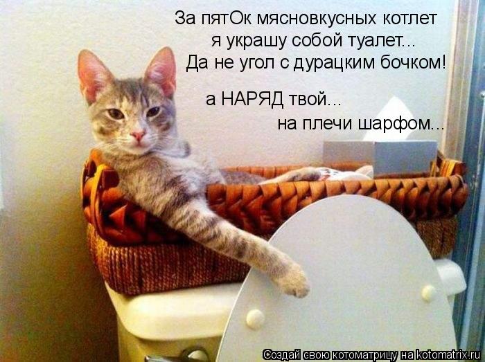 За пятОк мясновкусных котлет я украшу собой туалет... а НАРЯД твой... на плечи шарфом... Да не угол с... Котоматрица: За пятОк мясновкусных котлет я украшу собой туалет... а НАРЯД твой... на плечи шарфом... Да не угол с дурацким бочком!