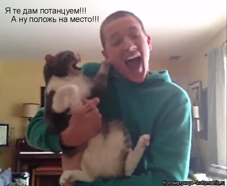 Я те дам потанцуем!!! А ну положь на место!!!... Котоматрица: Я те дам потанцуем!!! А ну положь на место!!!