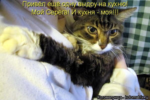 Привёл ещё одну выдру на кухню! Мой Серёга! И кухня - моя!!!... Котоматрица: Привёл ещё одну выдру на кухню! Мой Серёга! И кухня - моя!!!
