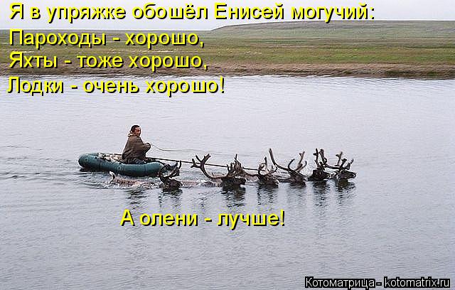 Я в упряжке обошёл Енисей могучий: Пароходы - хорошо, Яхты - тоже хорошо, Лодки - очень хорошо! А оле... Котоматрица: Я в упряжке обошёл Енисей могучий: Пароходы - хорошо, Яхты - тоже хорошо, Лодки - очень хорошо! А олени - лучше!