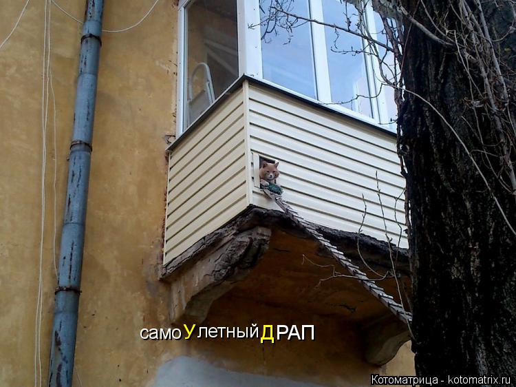 само У летный РАП Д... Котоматрица: само У летный РАП Д