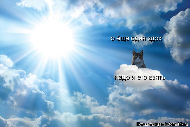 о ёще один здох надо и его взять... Котоматрица: о ёще один здох надо и его взять